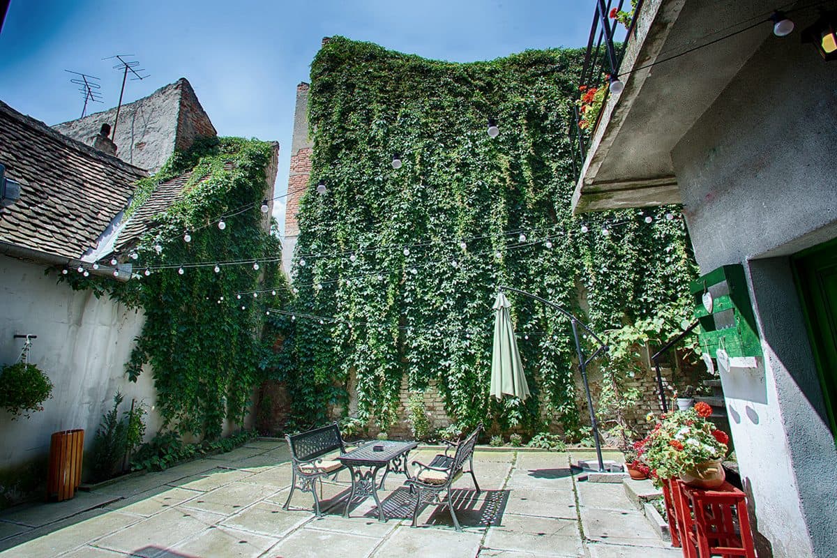 The flagstoned inner courtyard, bounded by a wall covered to its full height in green wild vine, with strings of bulbs, a parasol and wrought-iron furniture.