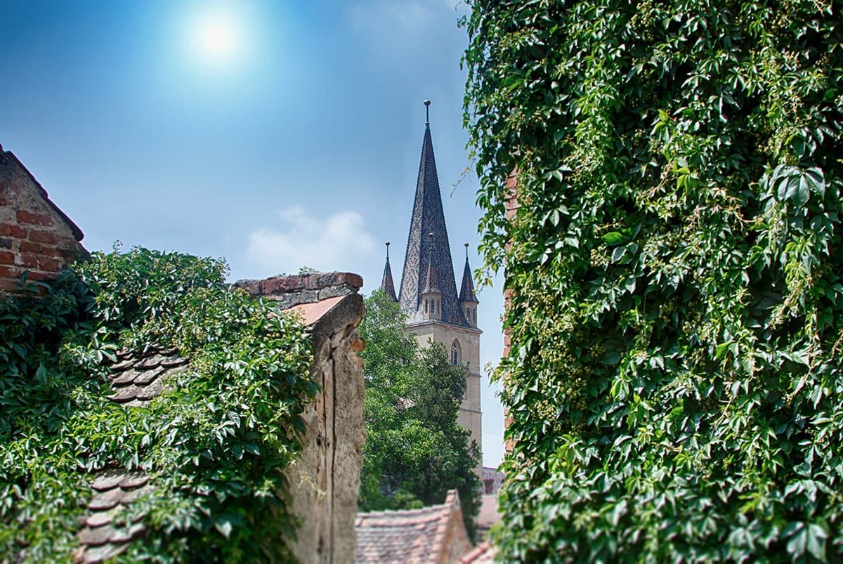 The tower of Sibiu's Lutheran Cathedral, with its glazed-tile roof, seen between wild vine and old tiled roofs.